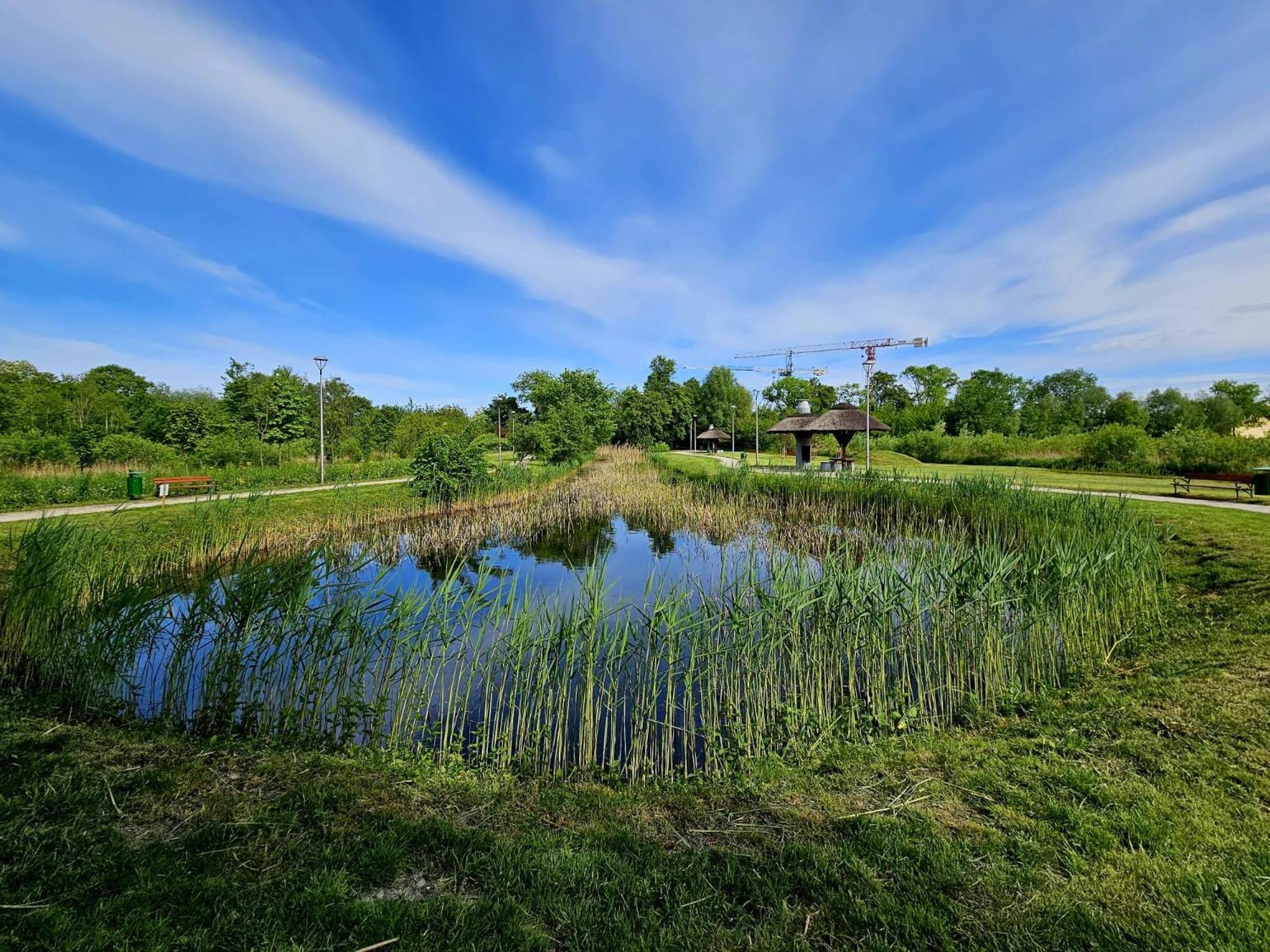Countryside Studio Borzecin Duzy Kültér fotó